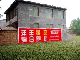 江城如何让墙体广告展现最大化效果