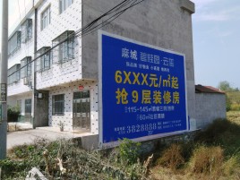 江城墙体广告质量分析