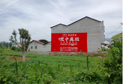 江城做墙体广告的意义