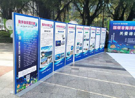 江城KT板的种类和知识。